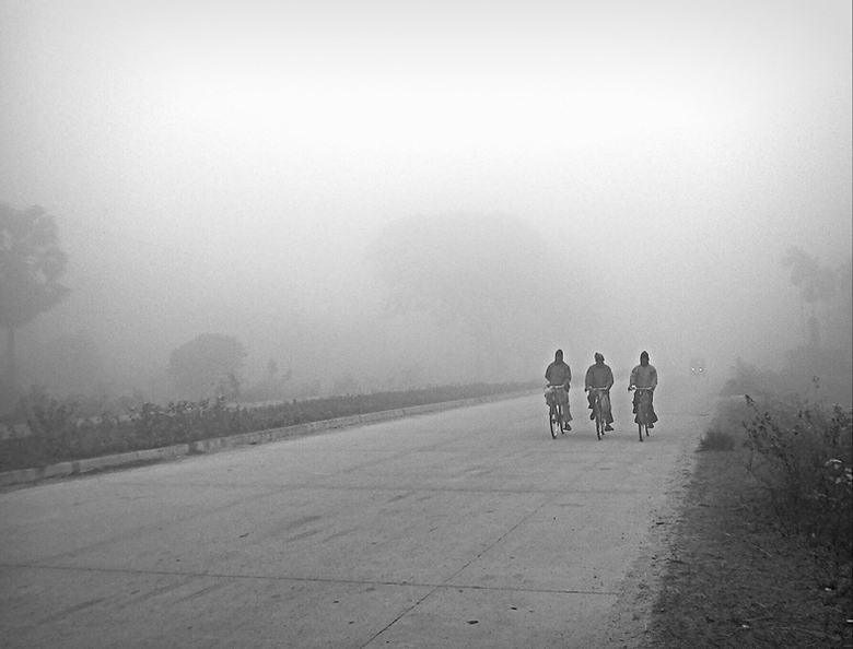 Foggy morning.jpg